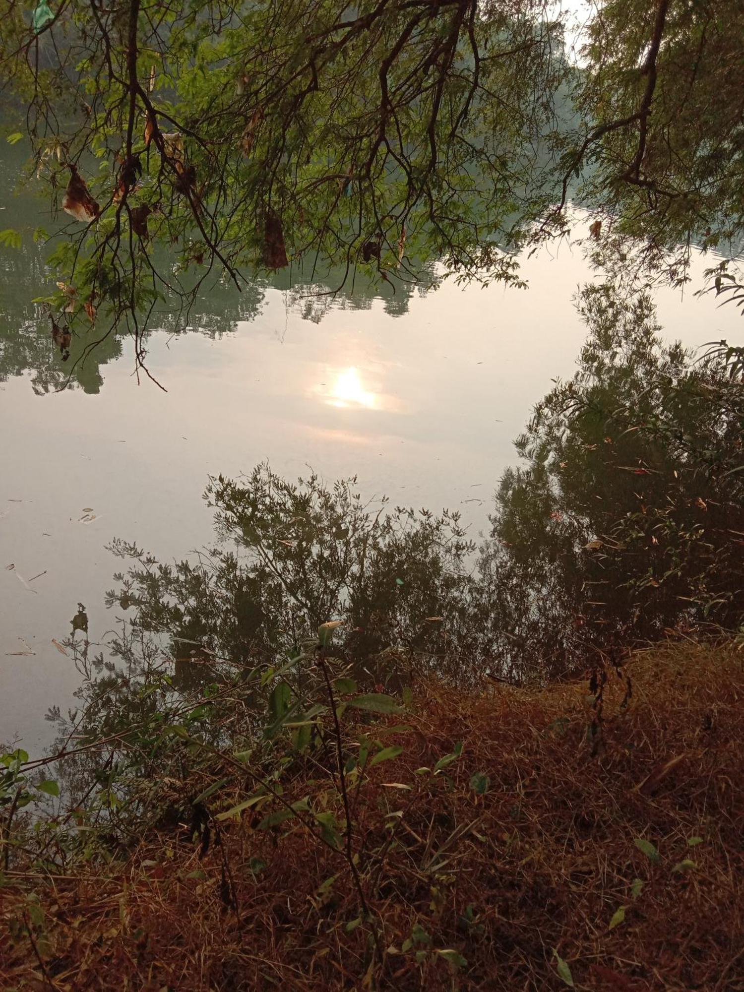 The Mana-Heritage Stay - Chengazhimattam Mana Kottayam Buitenkant foto