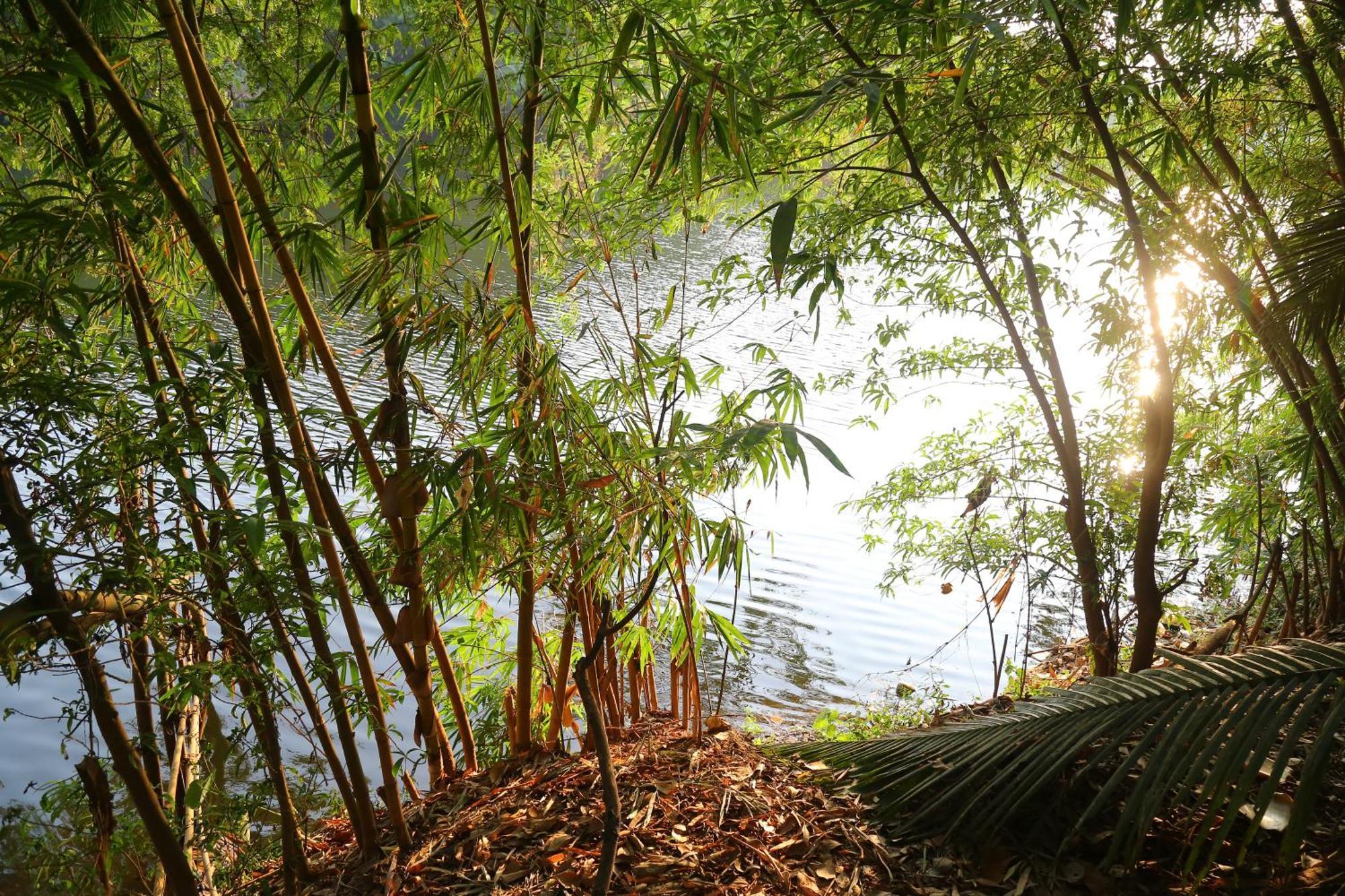 The Mana-Heritage Stay - Chengazhimattam Mana Kottayam Buitenkant foto