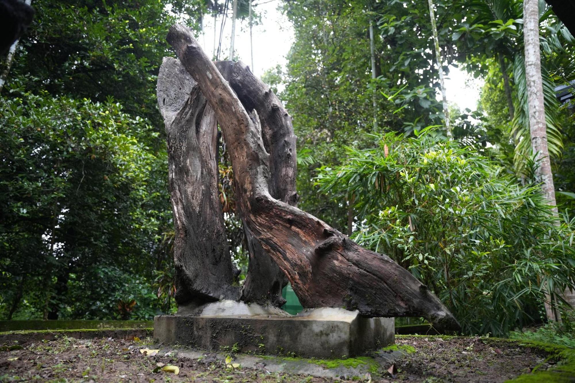 The Mana-Heritage Stay - Chengazhimattam Mana Kottayam Buitenkant foto