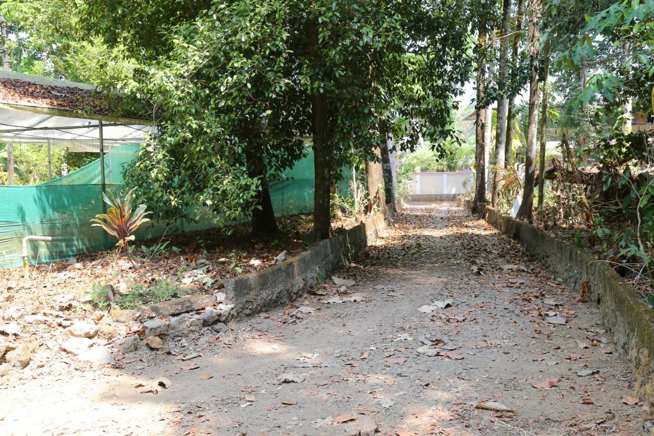 The Mana-Heritage Stay - Chengazhimattam Mana Kottayam Buitenkant foto
