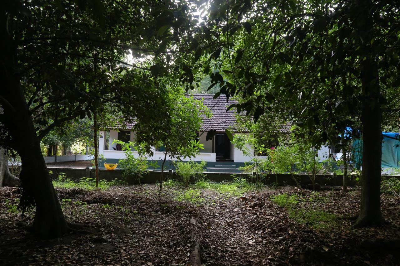 The Mana-Heritage Stay - Chengazhimattam Mana Kottayam Buitenkant foto